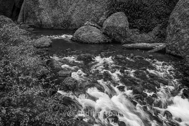Wahclella Falls Trail - Pacific Northwest