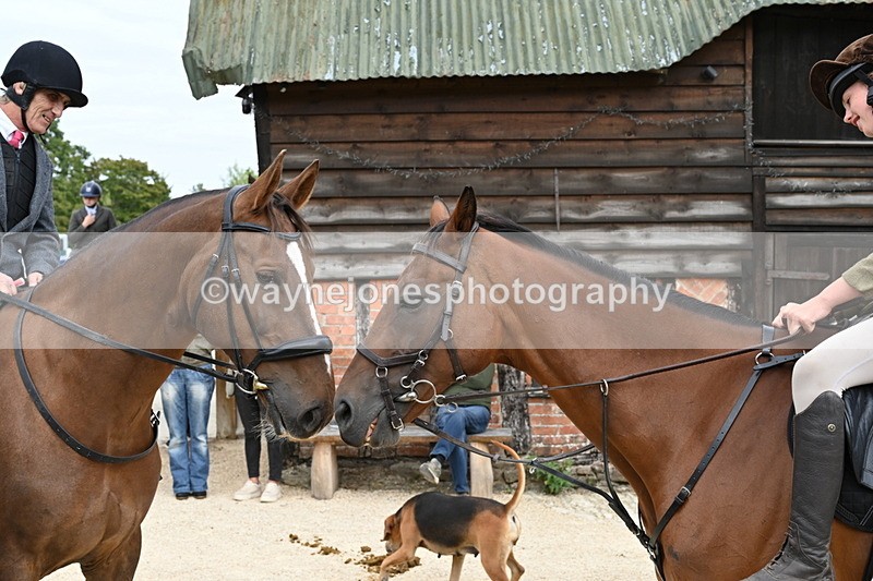 WJ6_3537 - Berks & Bucks - The Old farmhouse - Hound Exercise 20-08-25