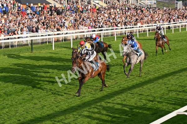 260724-Race 5-Verbier-5392 - Race 5 7.50pm British EBF Lyric Fillies' Stakes