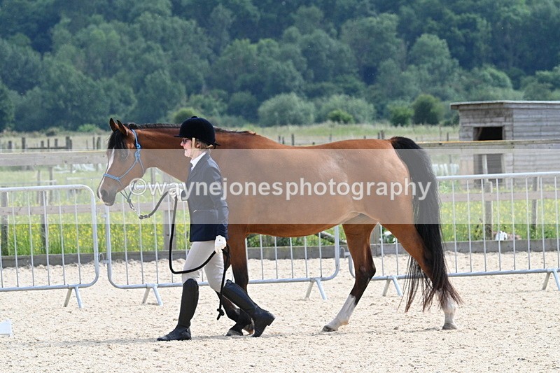 WJ7_8182 - Time 16:10 to 16:25