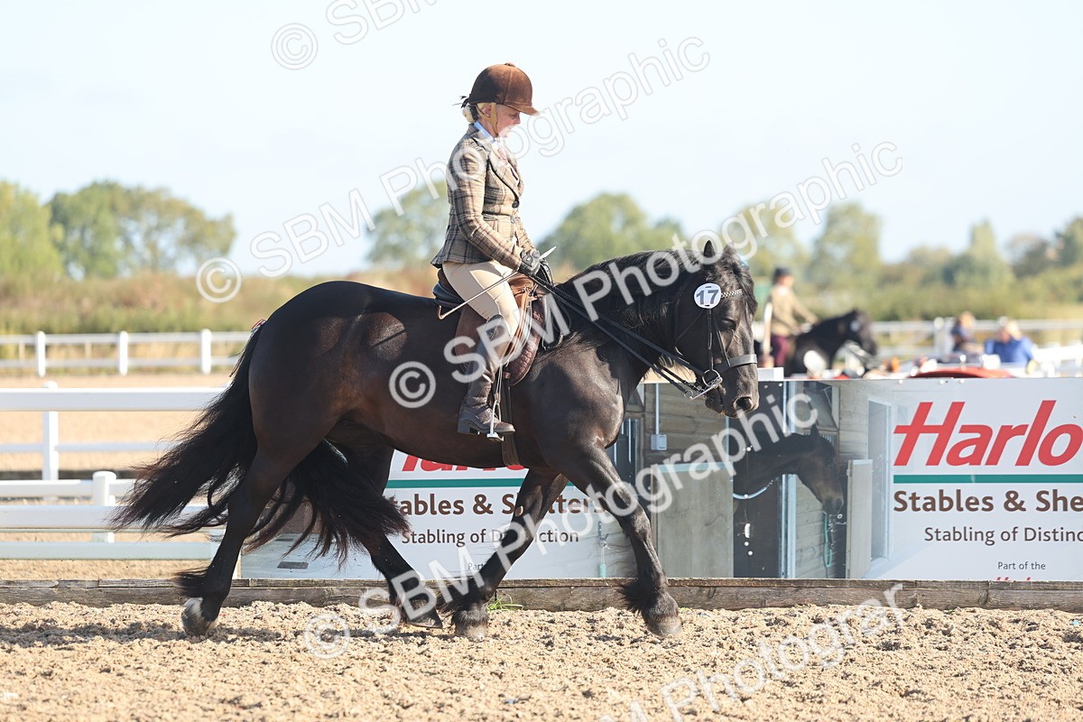 SBM_22113 - Class 801 - Ridden Veterans