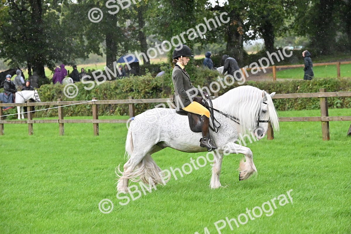 SBM_35704 - S16 - Top Turnout - Ridden