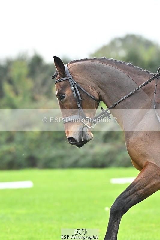 241024-102833-02189 - 305-Charlotte.Walters-HOLNEST.FEARGHAL