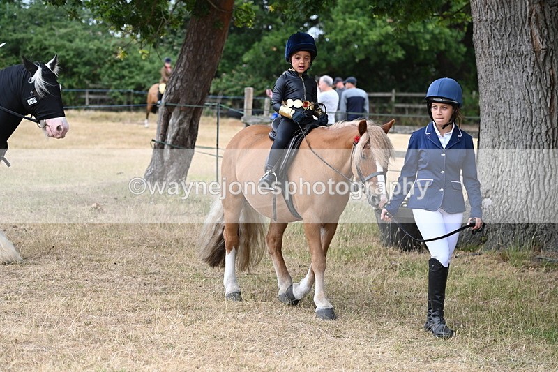 WJ6_8883 - Class 11 Fancy Dress