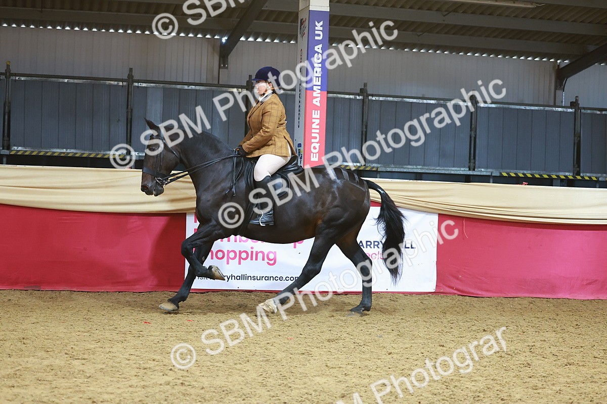 SBM_09433 - Class 102 - HOYS Veteran Qualifier - Ridden Veteran