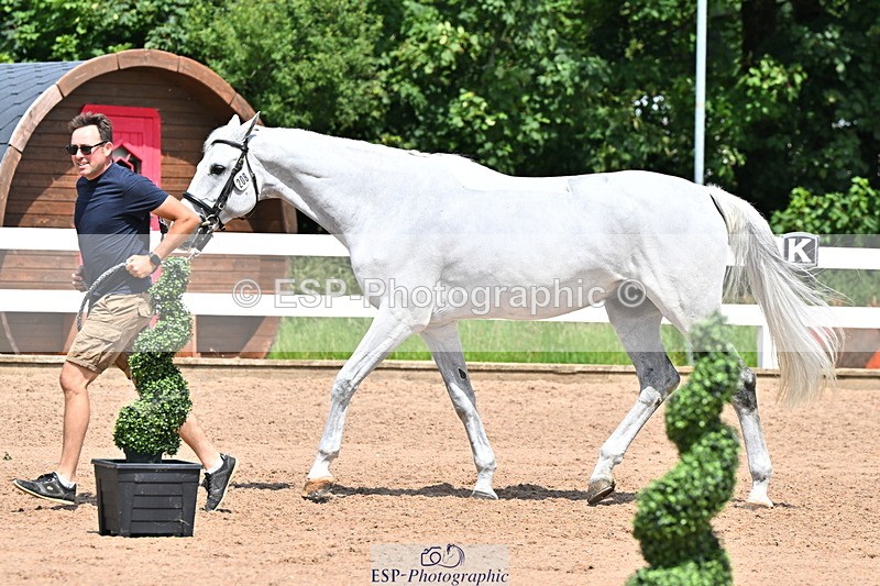 240718A-105318-01820 - Trot Up 1pm to 2pm