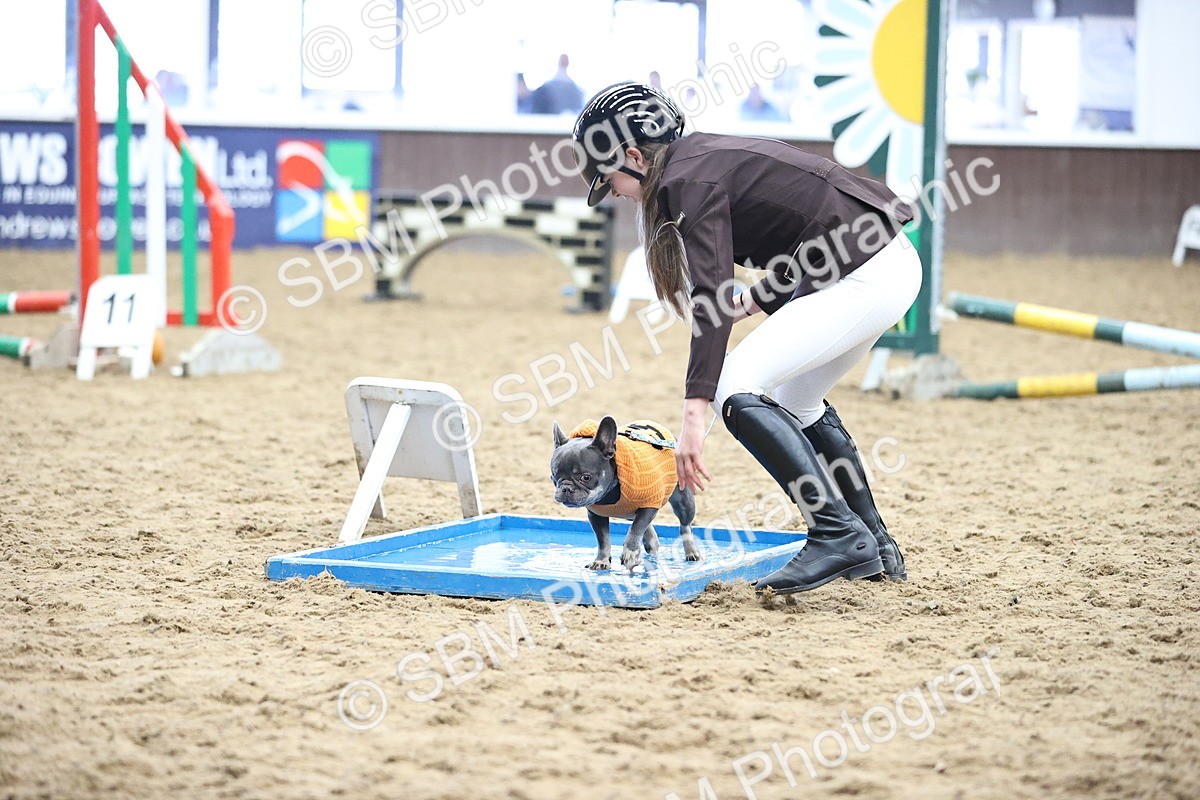 SBM_001193 - Class 3 - Horse & Hound 60cm