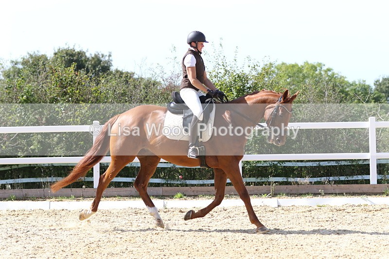 0I1A2667 - BD Class 4: Novice 6 2024