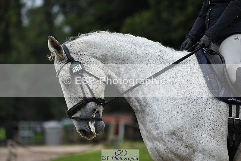 230812-091519-02747 - Cls 6 Novice Silver Start to 10.20 break