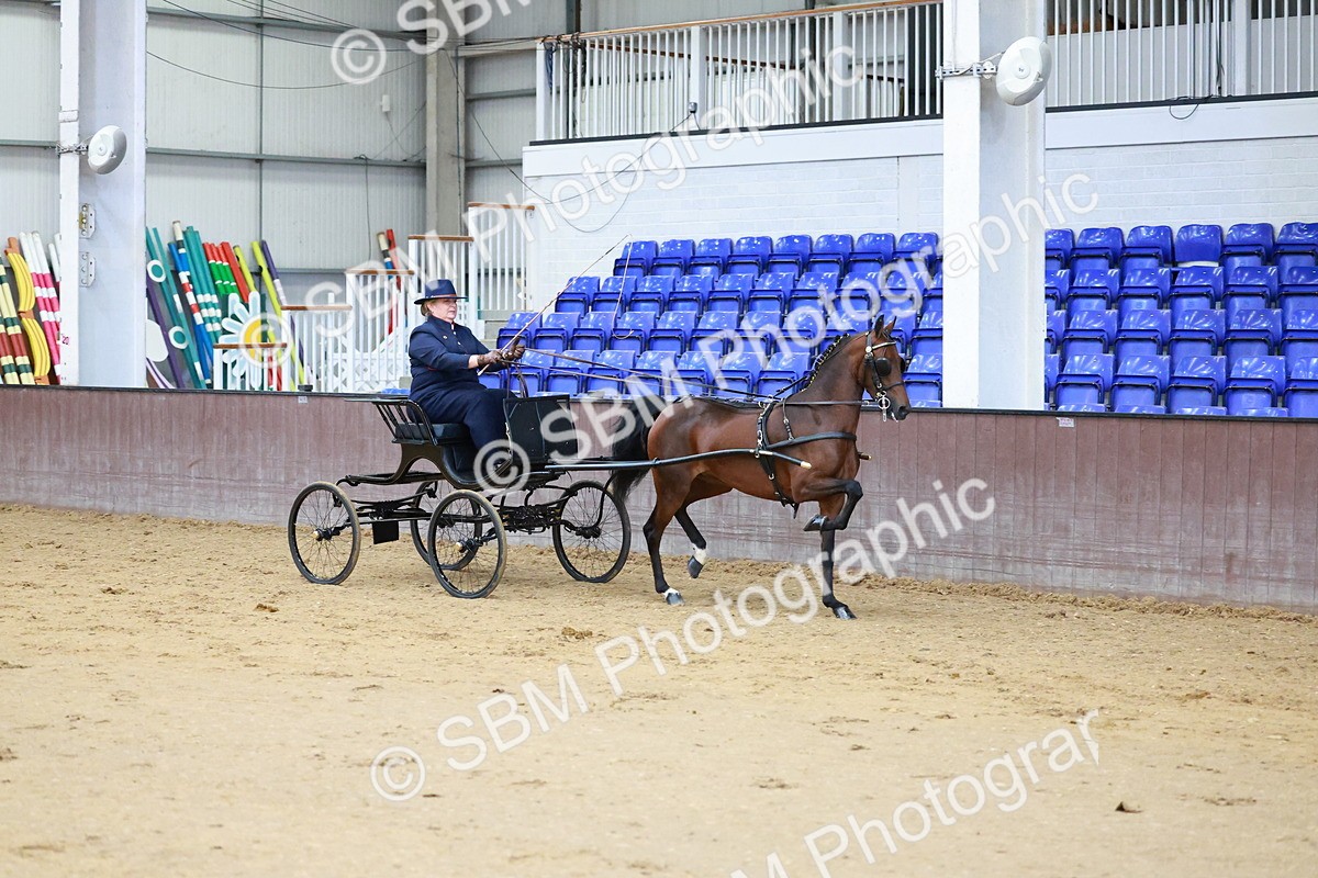 SBM_000667 - Class 9 - HHS Championship Intl Hackney Pony to a Showwagon