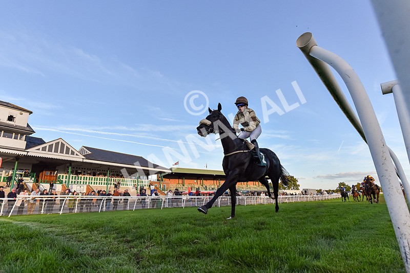 300926-Race 8-Jojo Rabbit-7911 - Race 8 5.55pm Racing Again 17th October Amateur Jockeys' Handicap