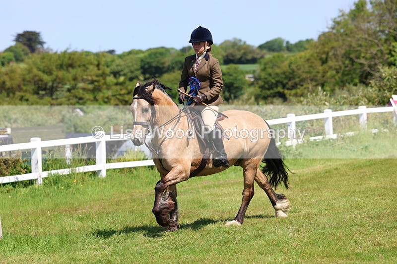 3E7A6762 - Working Hunter Pony Championship