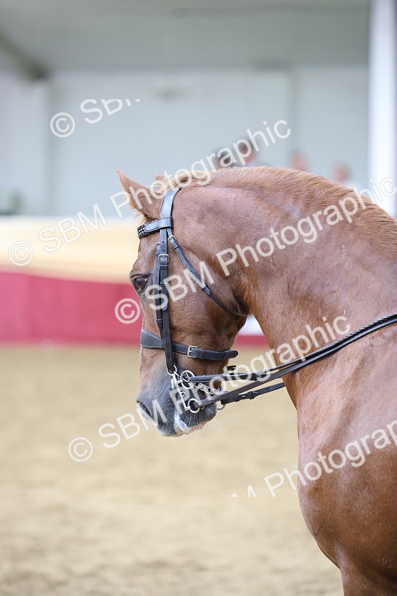 SBM_23583 - Class 904 - Supreme Final - Ridden Diamond