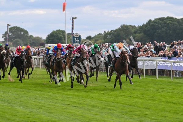 210825-Race 2-Song Of The Clyde-3949 - Race 2 2.25pm Harry's Half Million By Goffs