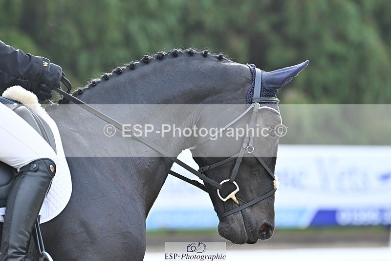 231019-103843-01913 - 102-BAGHEERA-Althea.Bleekman-DR