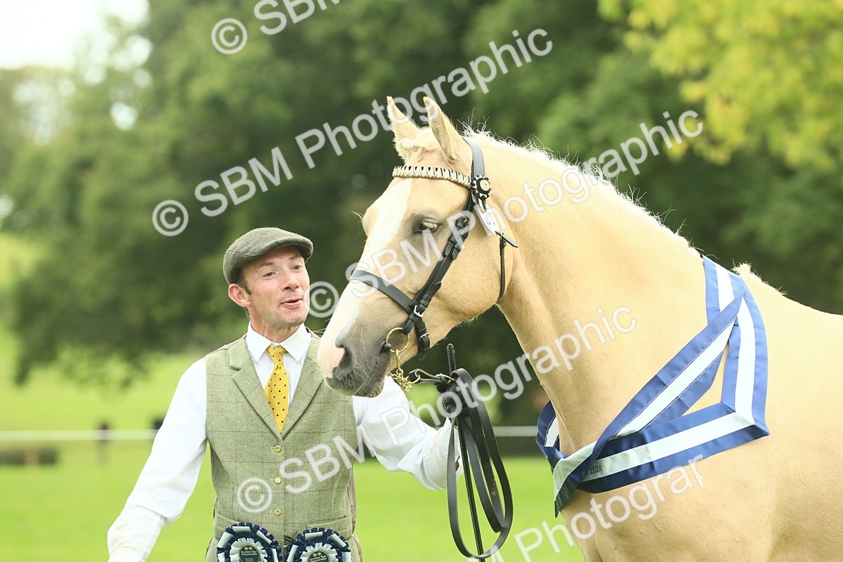 SBM_75200 - Super Supreme Championship