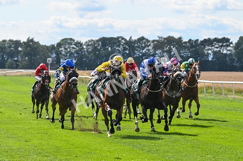 020825-Race 4-Moulin Booj-3111 - Race 4