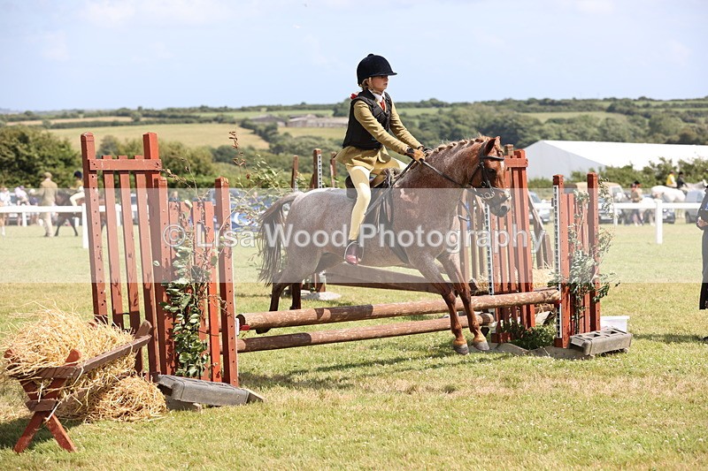 JPP_2138 - Class 19: Working Hunter 60cm