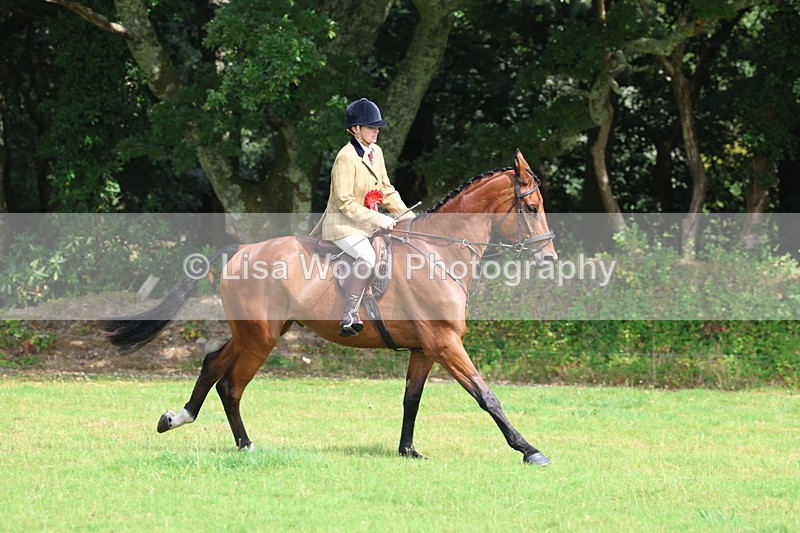 3E7A6064 - Working Hunter Championship