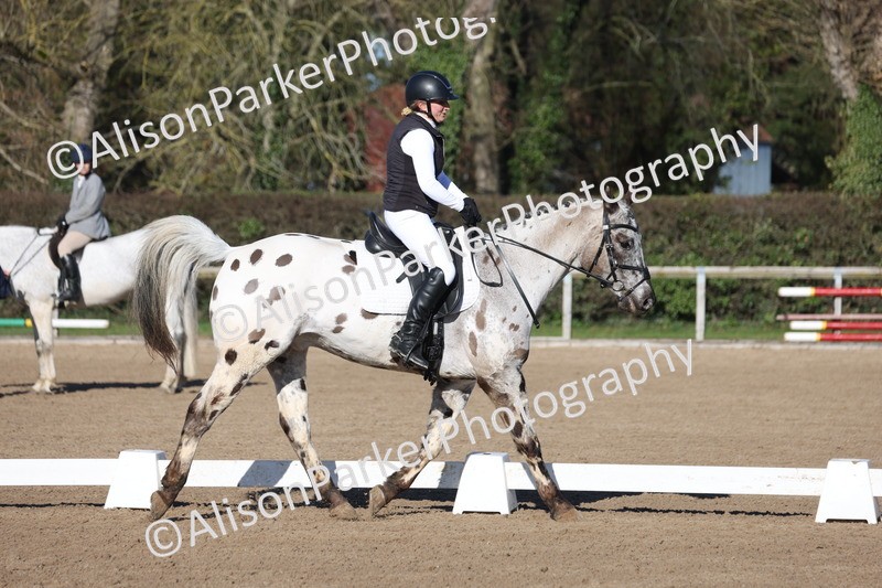 20260214-0295 - Class 3 - Prelim 2