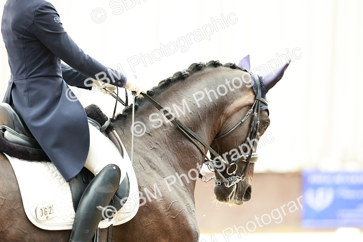 SBM_012662 - Class 3 - FEI PSG - 10.43-11.39