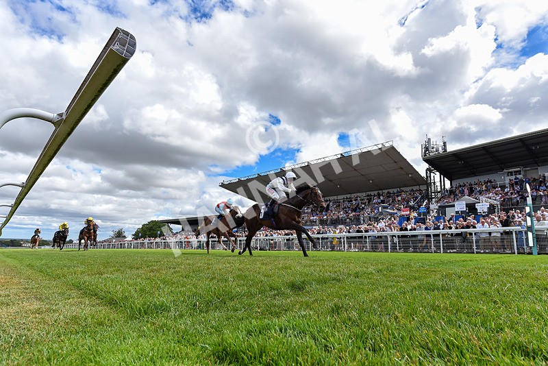 040726-Race 1-Palm Reader-1863 - Race 1 14.17pm Rob Over The Hill EBF Maiden Stakes