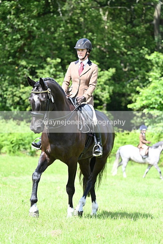 WJ7_1099 - Class 11 Condition & Turnout