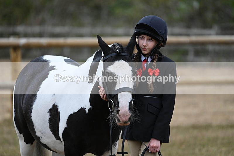 WJ7_8536 - Class 4 Prettiest Mare up to 14.2hh