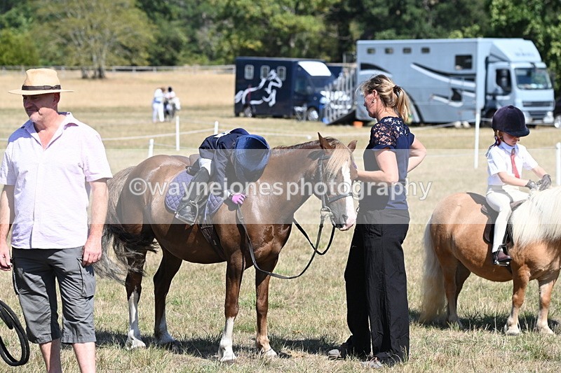 WJ6_9355 - Class 40 Cheekiest Pony/Horse