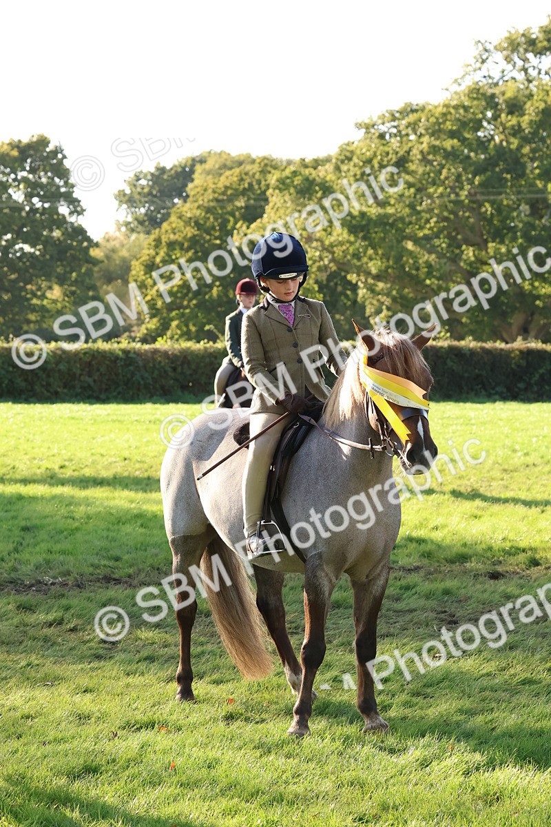 SBM_52676 - S13 - Pony Club Pony