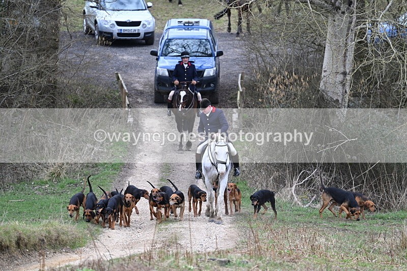 WJ7_7288 - Walk Home