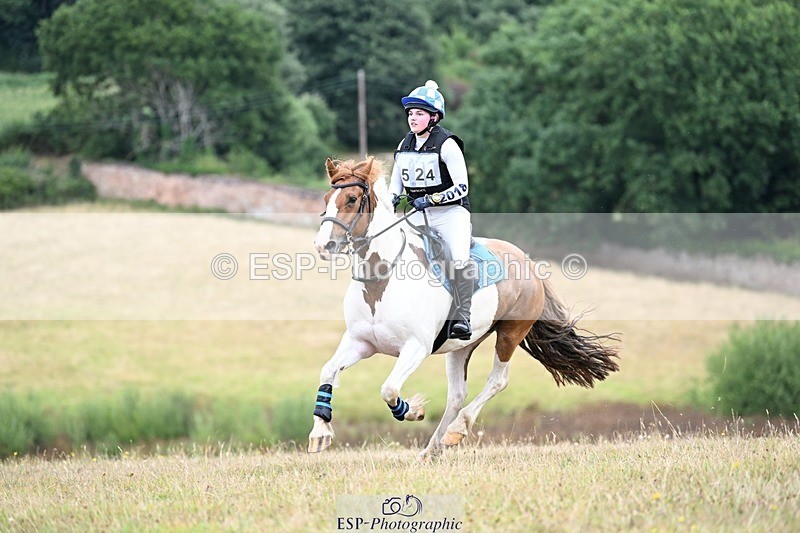 250803A-114713-11246 - L-524-Jacky.Jones-I.FOUND.NEMO