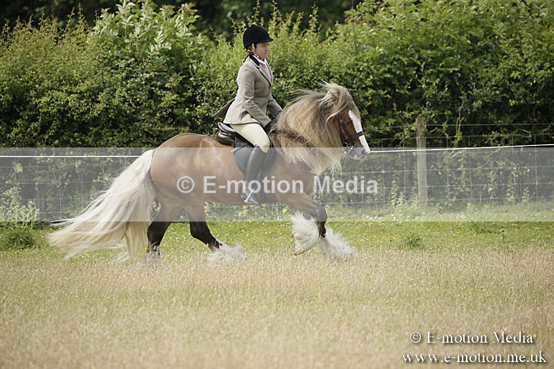 B230619-0431 - Bourne Valley Riding Club Summer Show 23/06/19