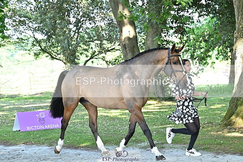 250521A-161740-01042 - C-213-Daisy.Amin-JACK.ASS