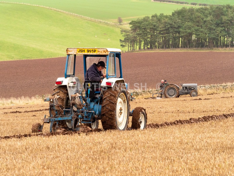 PB260009 - Lauderdale Ploughing Society - Ploughing match 26-11-22