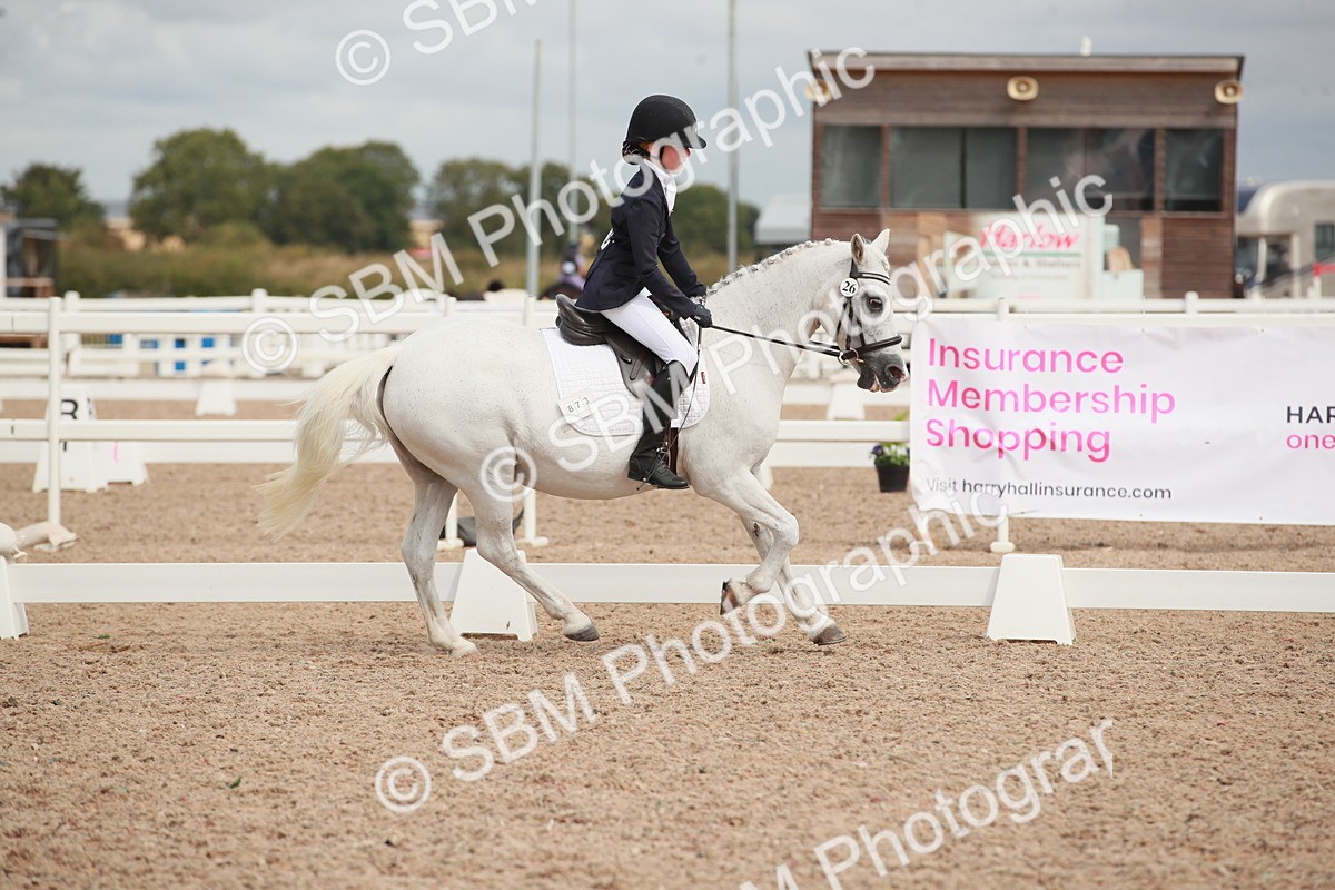 SBM_03986 - Class 31 - Prelim 1