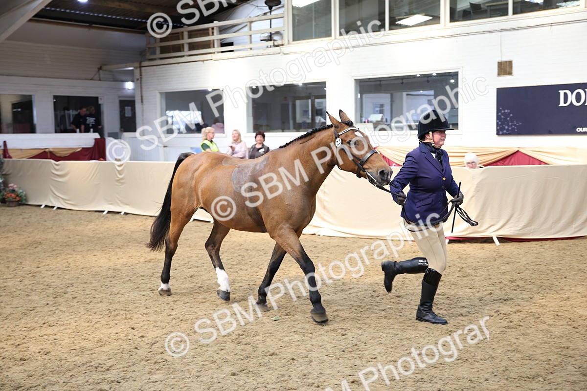 SBM_24259 - Class 905 - Supreme Final - Ridden Veteran