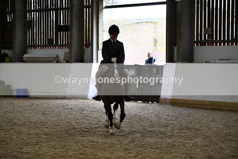 WJ5_7229 - Class 11 Ridden PC - RC Pony