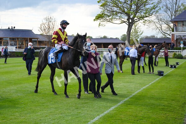 yr12052021r7-35 - Race 7 4.50 pm Conundrum HR Consulting Stakes