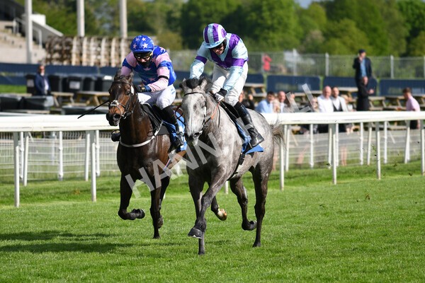 yr22052021r7-33 - Race 7 5.25pm Hudson Quarter York Palace Capital Stakes - Gentleman Amateur Riders Race