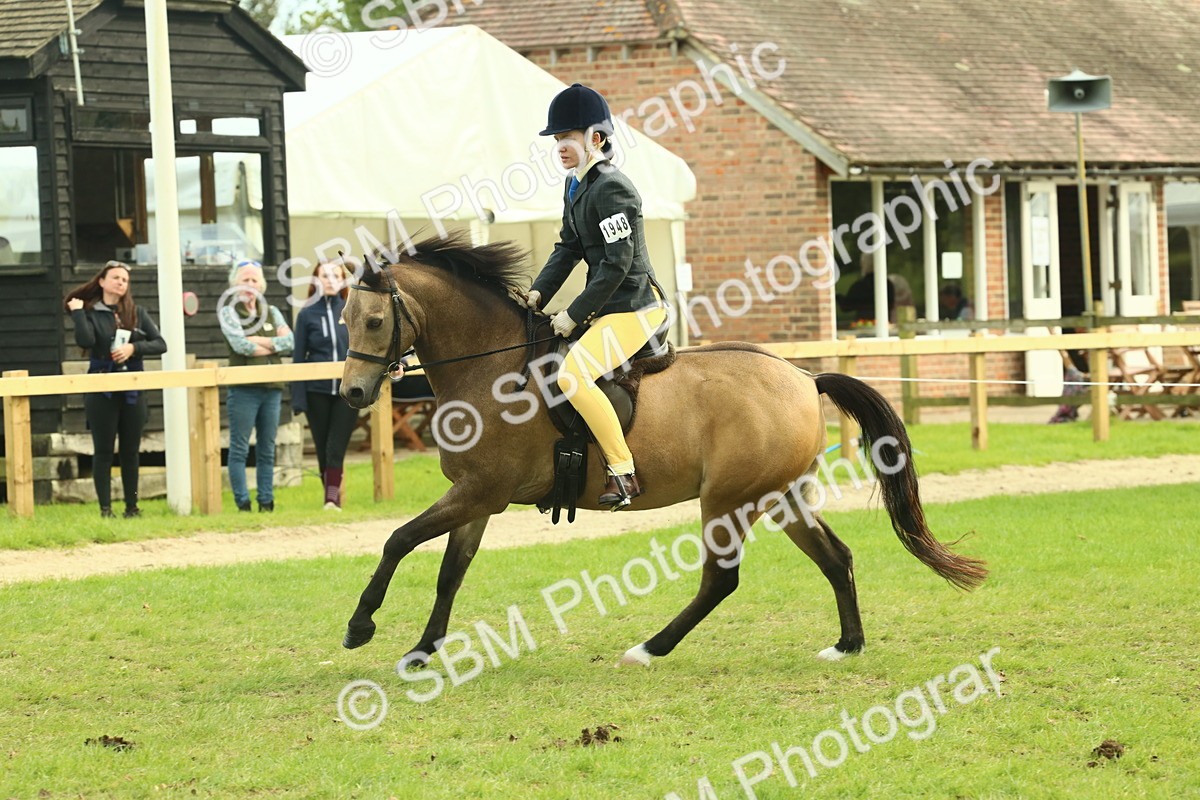 SBM_69838 - S59 - Mountain & Moorland Ridden Small Breeds