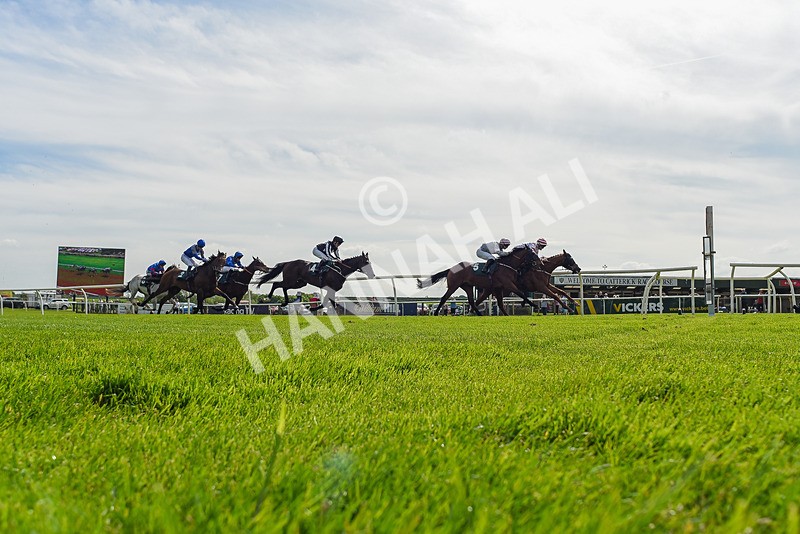 130524-Race 3-Animato-9392 - Race 3