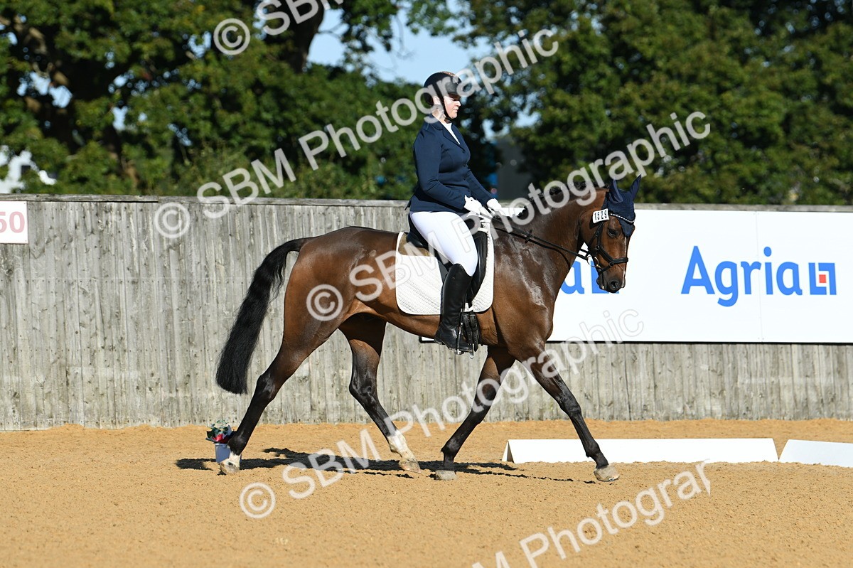 SBM_16144 - D4 - Small Tour Championship - Intro B