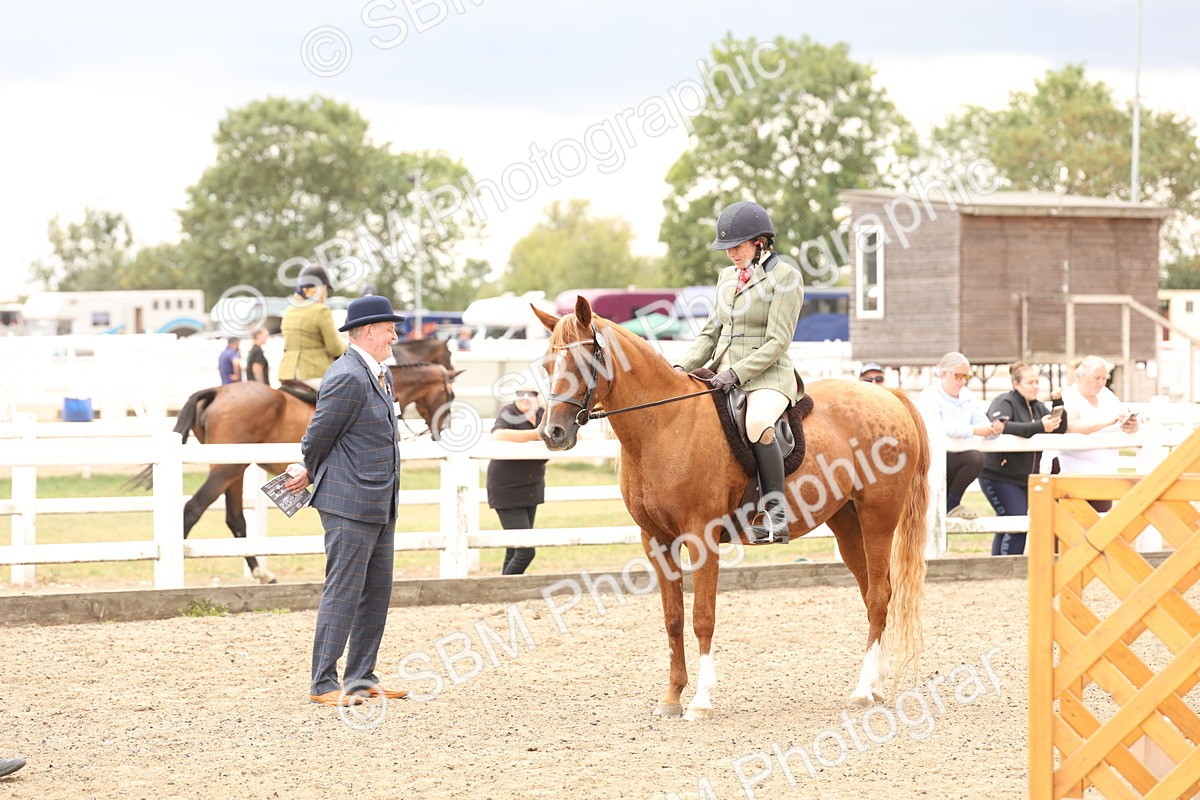 SBM_06255 - Class 57b -  Style & Performance - 60cm (20+)