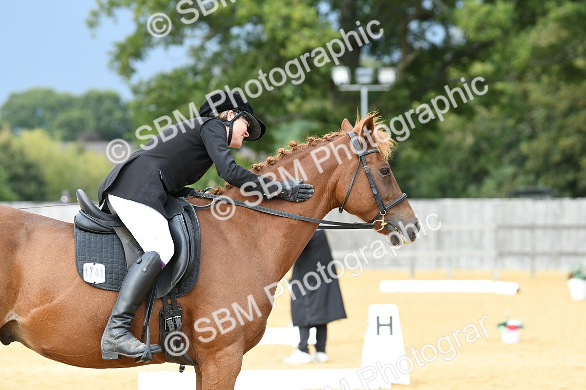 SBM_10986 - D28 Elementary Taster Elementary 42