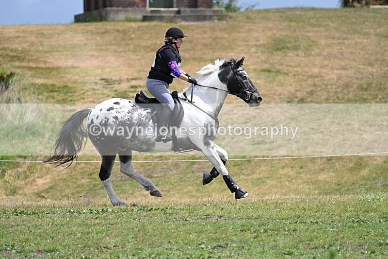 WJ7_7208 - Time 12:27 to 12:33