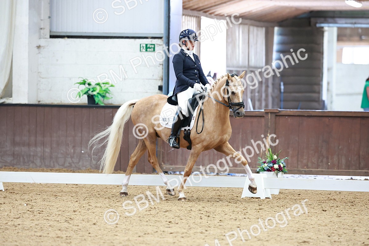 SBM_017311 - Class15 - FEI Pony