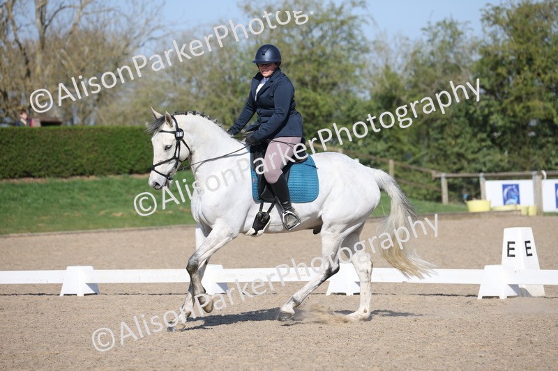 20250405-0207 - Class 11 - My Quest Novice 3