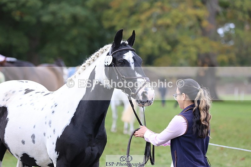 251026A-121616-25996 - H-607-Hannah.Bourgoine