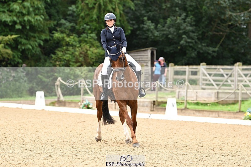 240811-101926-04992 - 110-Helen.Kitto-Da.Vinci.IV